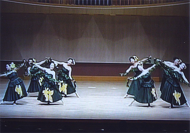 �t���_���X����