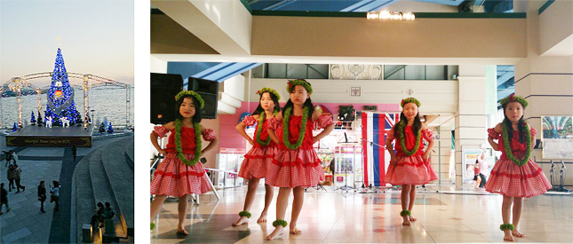 �t���_���X����