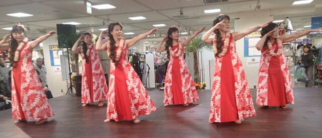 �t���_���X����