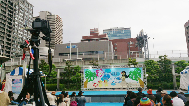 �t���_���X����