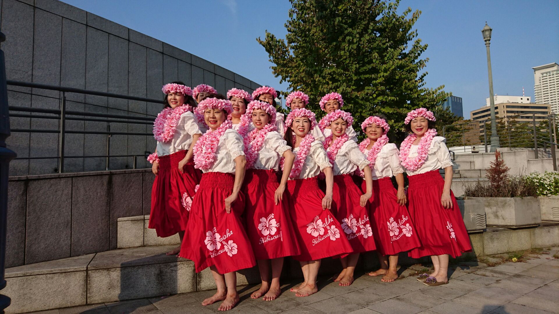 �t���_���X����