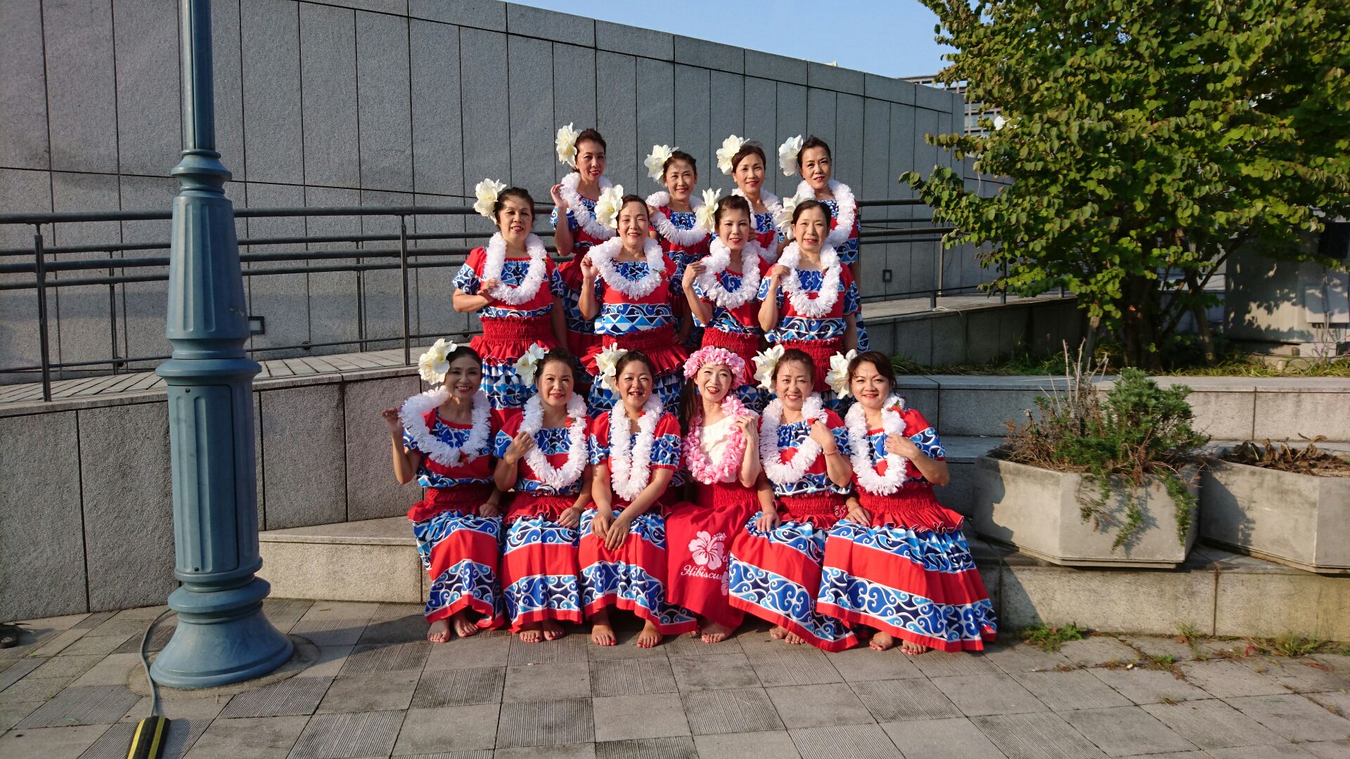 �t���_���X����