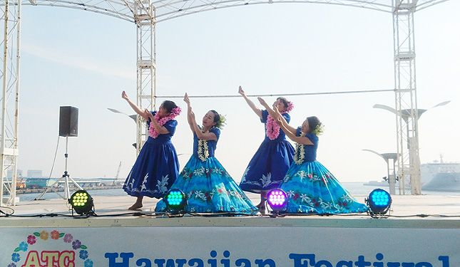 �t���_���X����