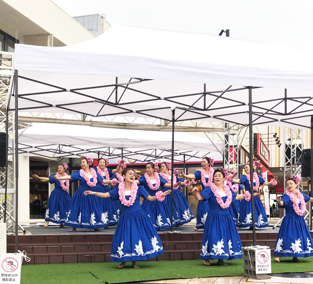 �t���_���X����