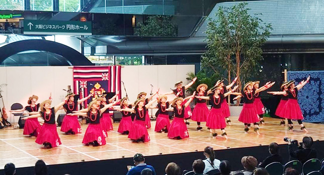 �y�����t���_���X